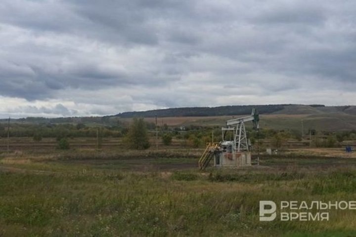   Татьяна Демина / realnoevremya.ru