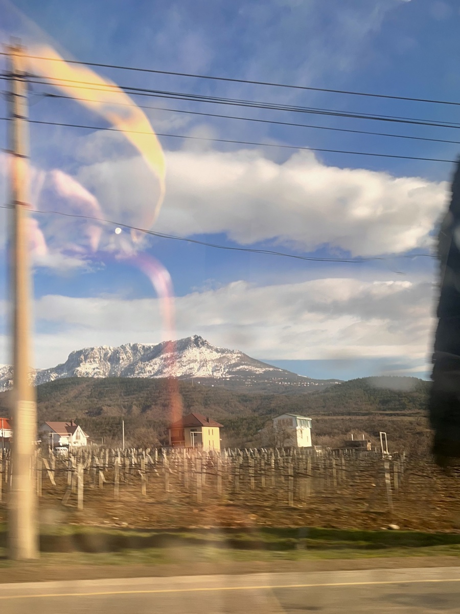 Гора Южная Демерджи на фоне виноградников