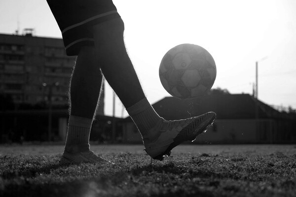 Shutterstock/FOTODOM   📷