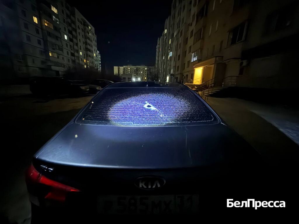     Фото: Алексей Дацковский (архив)