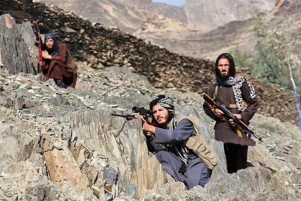    Фото: lenta.ru Кирилл Титов