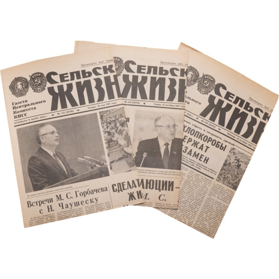 Вот она - "Сельская жизнь".Фото из открытых источников