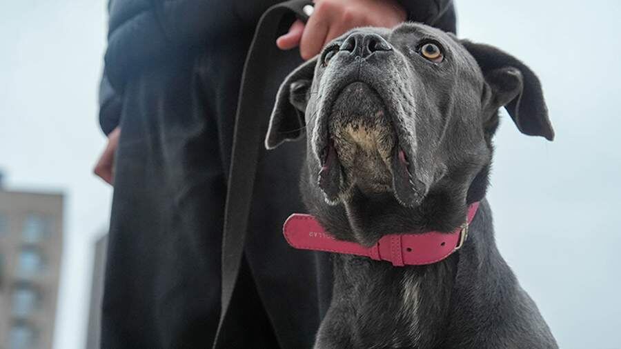    Фото: ИЗВЕСТИЯ/Андрей Эрштрем