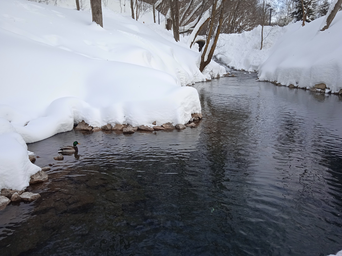 Фото автора, 10 февраля 2026г.