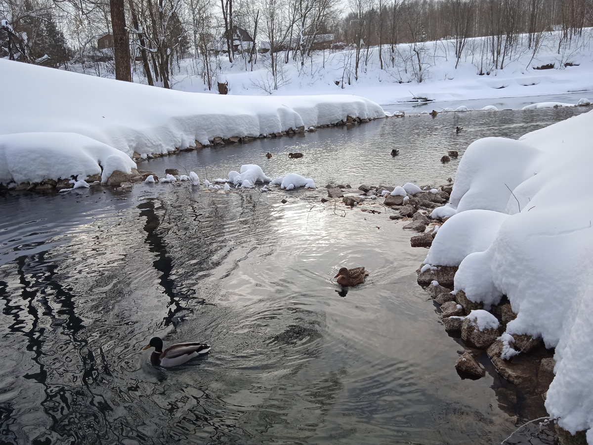 Фото автора.
