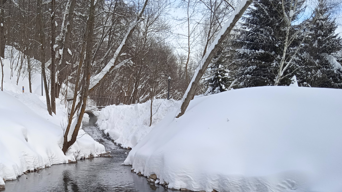 Фото автора.