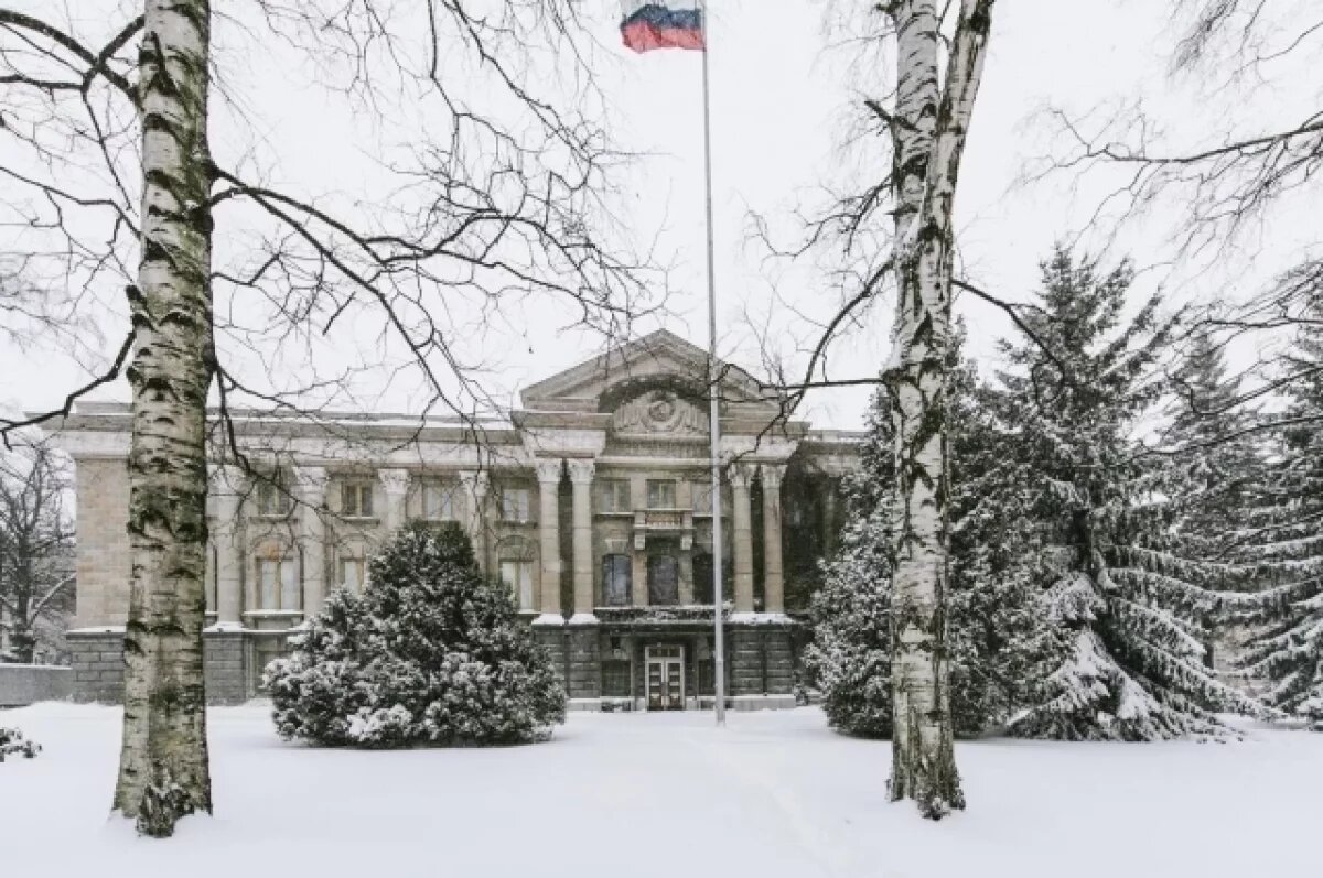    Политик Мема назвал сожжение флага РФ в Финляндии гнусным актом