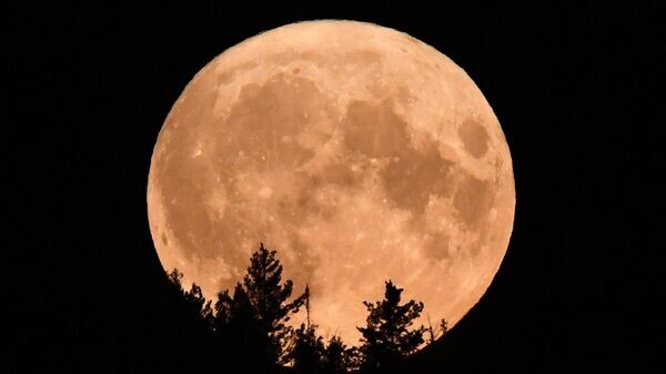    © Sputnik / Илья Наймушин