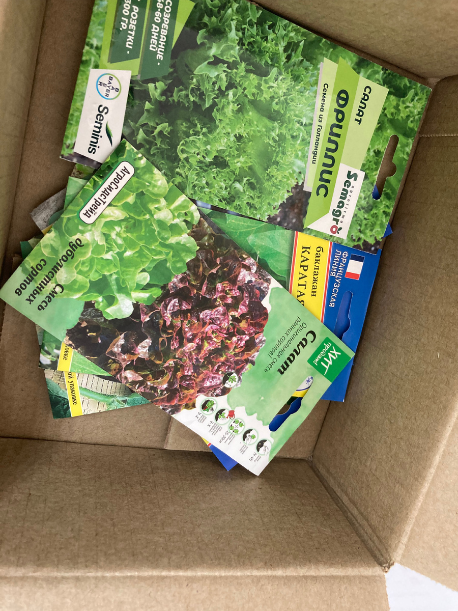 Как говорится, гора родила мышонка