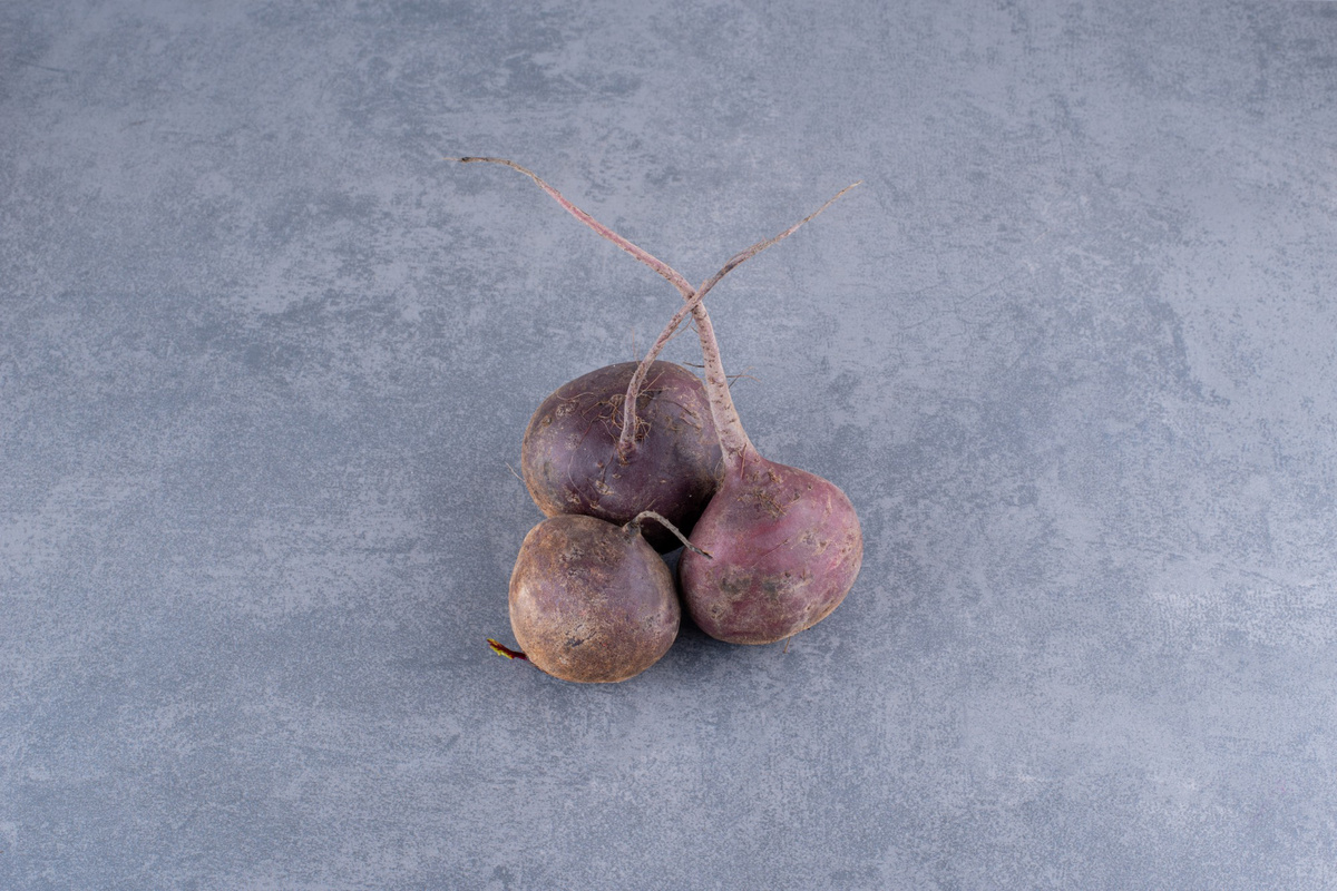 Фото: azerbaijan_stockers /Freepik