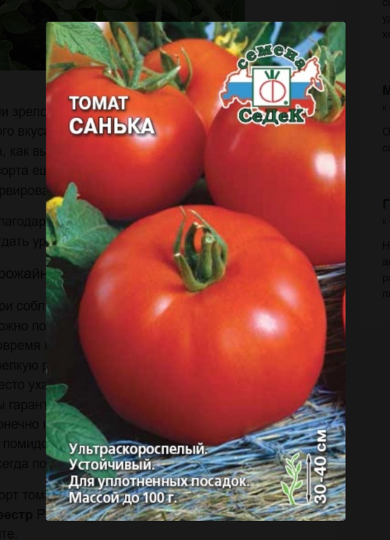 Ранний и неприхотливый томат "Санька"