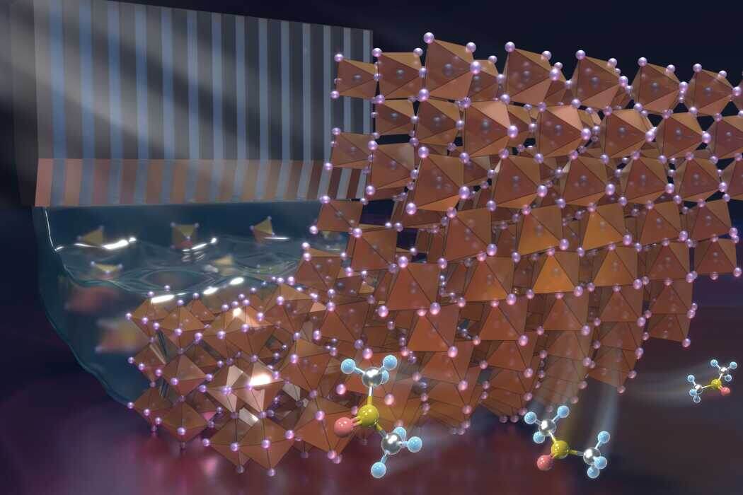 Механизм действия зародышей кристаллизации сольватов на погруженном интерфейсе. http://english.qibebt.cas.cn./ne/rp/202602/t20260205_1149816.html