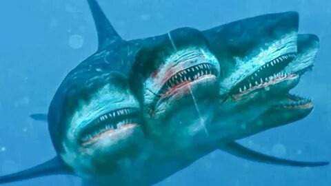 Яндекс картинки.