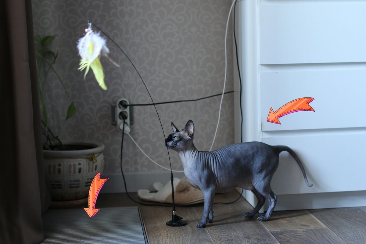 Котя традиционно пачкает все углы мебели, дверей и батареи