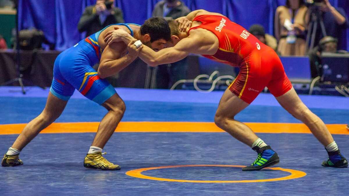    Фото: Dmitry Niko / Shutterstock / Fotodom