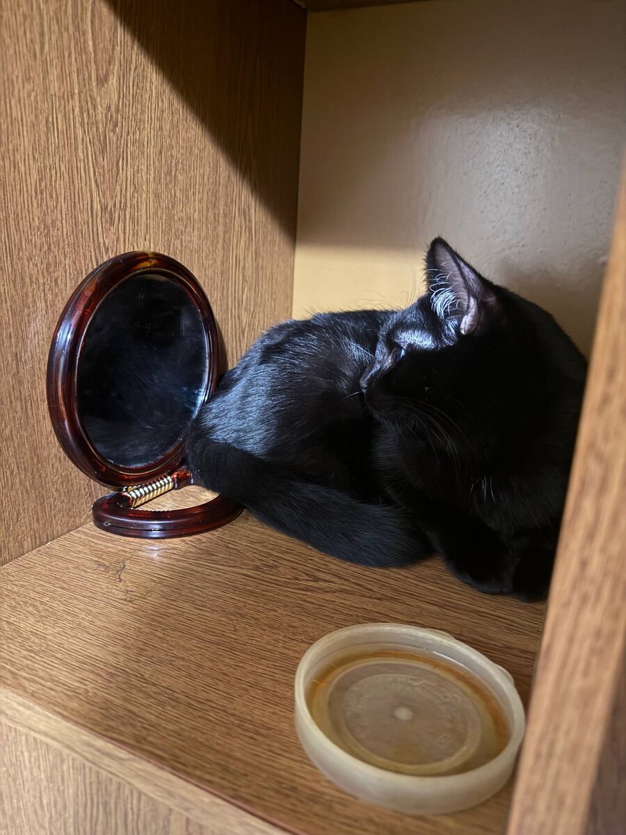 И кто это там такой красивый??