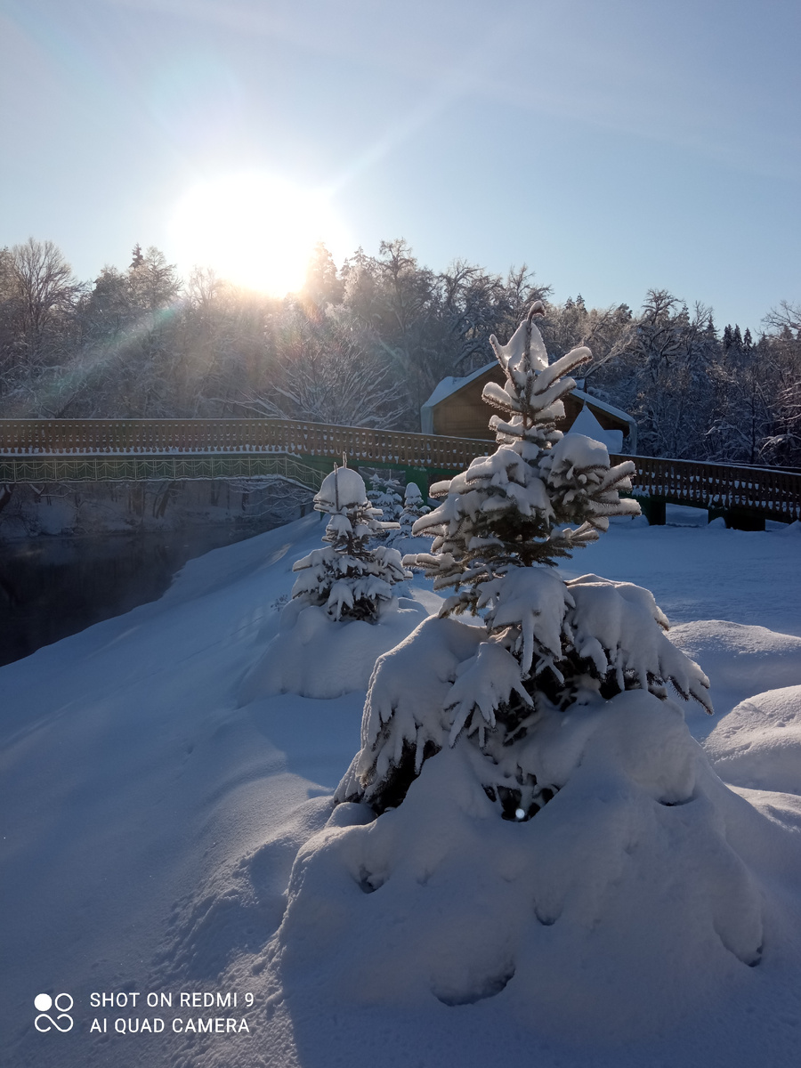 Снег искрится на солнце. Фото автора. 