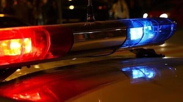    © ГУ МВД России по Московской области