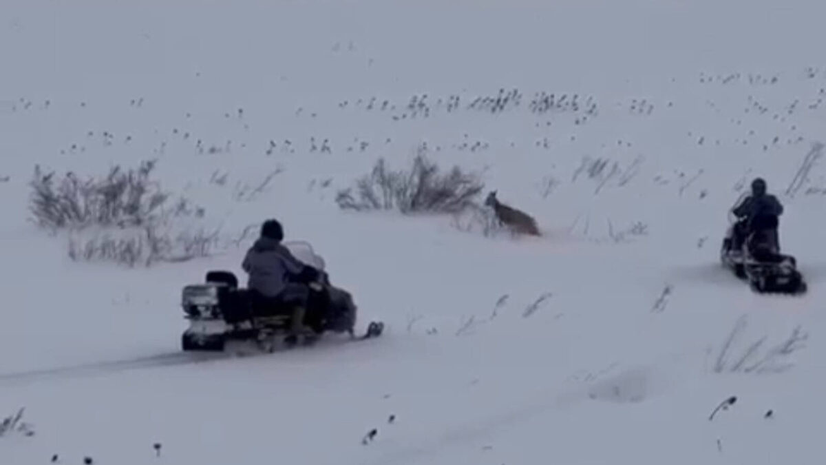 Фото: пресс-служба Госкомитета РТ по биоресурсам