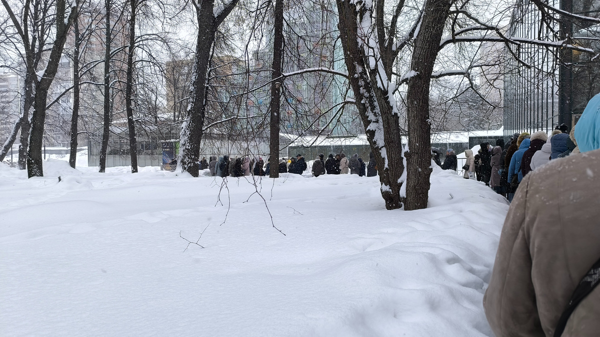 Просто очередь на час