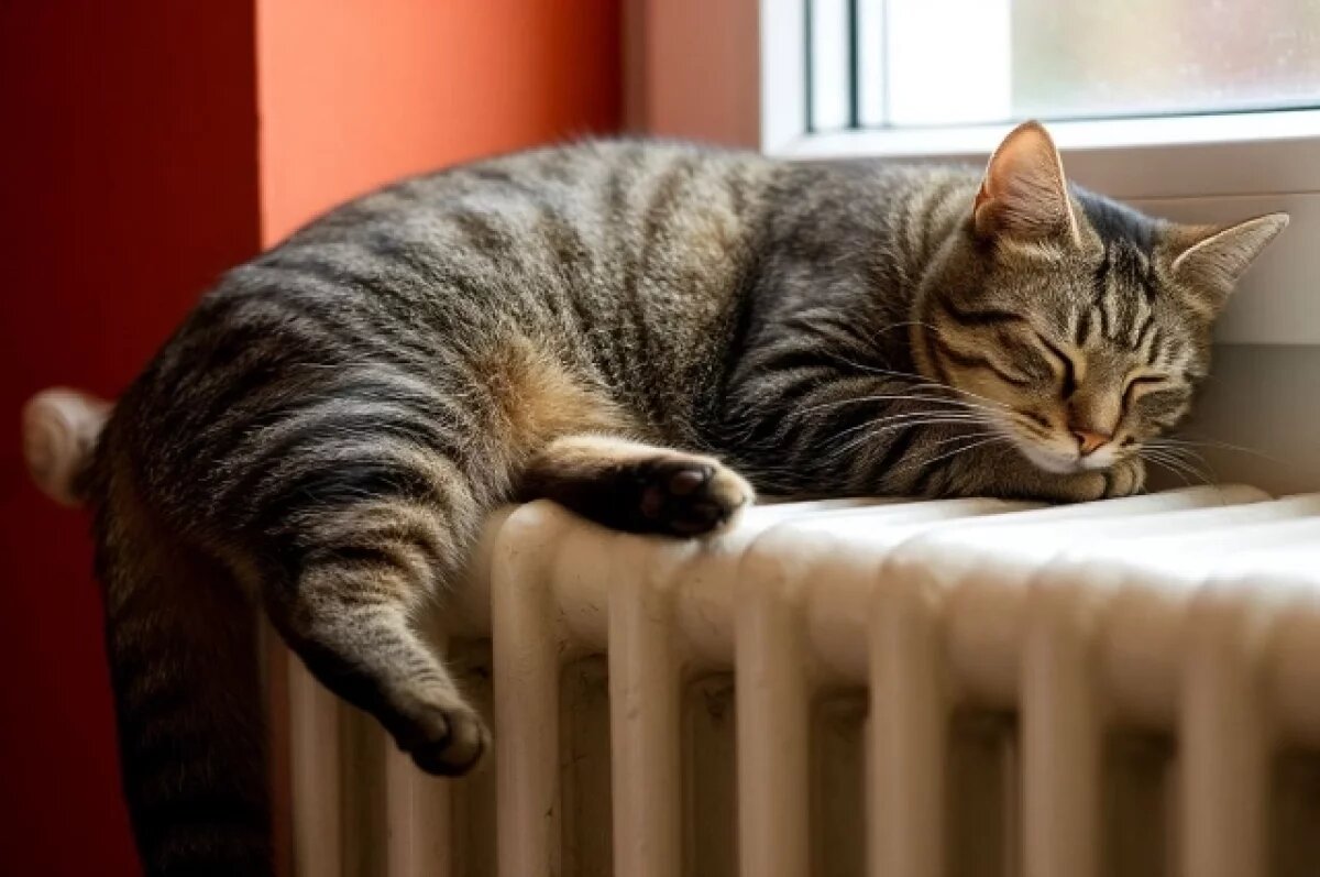    В Пензе в Дальнем Арбекове на время снизят температуру в батареях