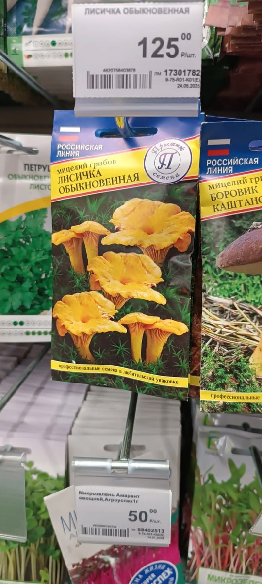 Семена грибов