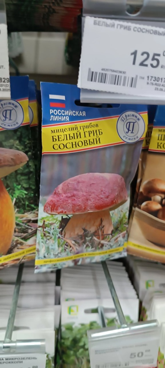 Семена грибов в продаже