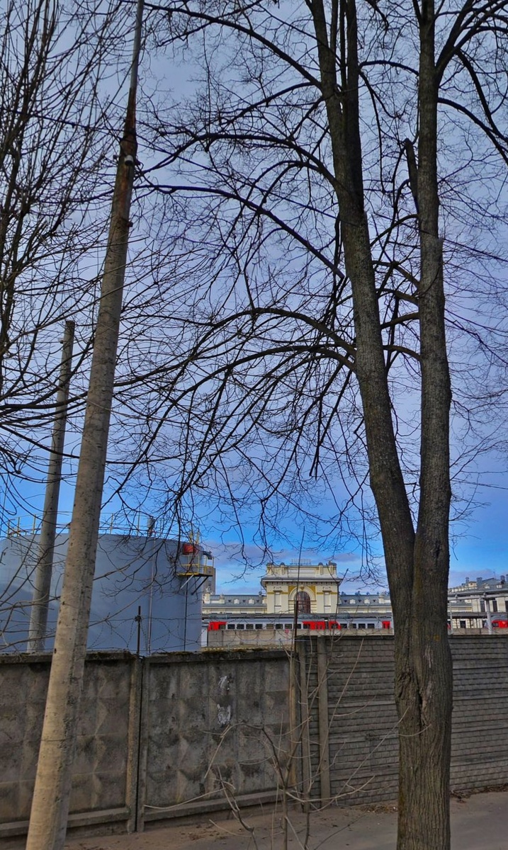 С этой улицы только так.