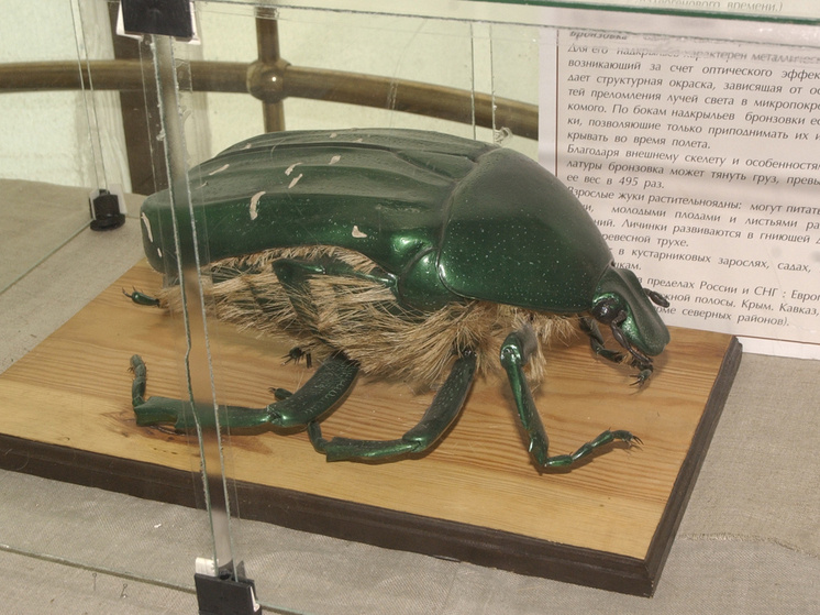     Фото: Сергей Иванов