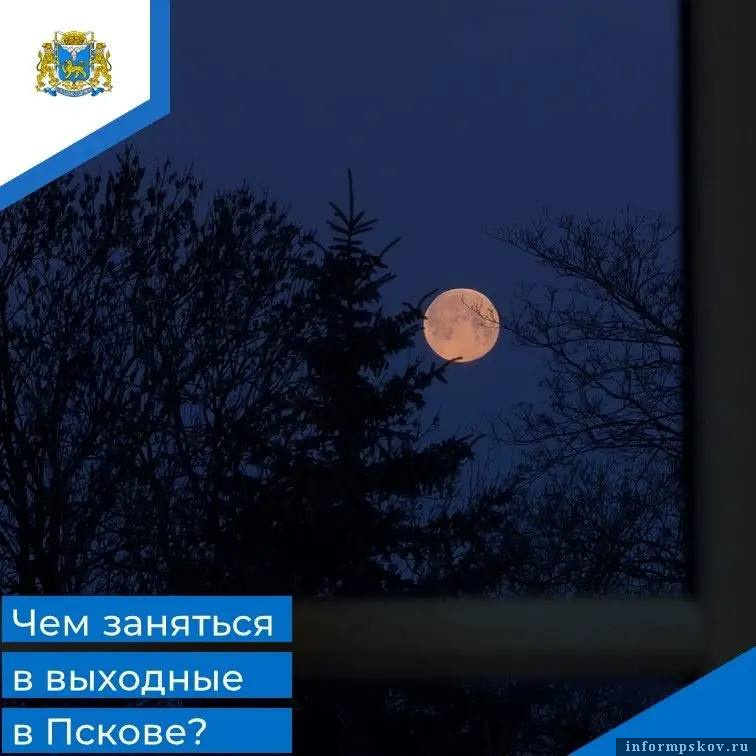 Фото из телеграм-канала Бориса Елкина