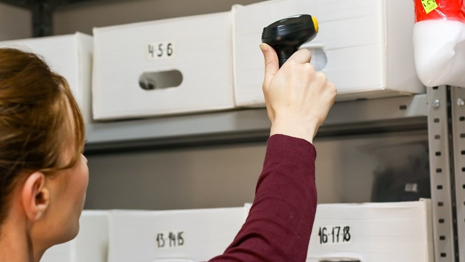    Автор фото: Michael_K_photo/Shutterstock/FOTODOM