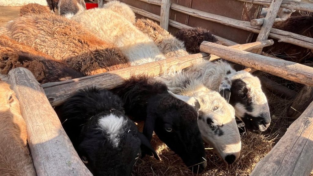    Фото: Г. Ященко. Галина Ященко