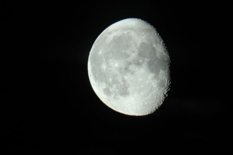    Сергей Булкин/NEWS.ru