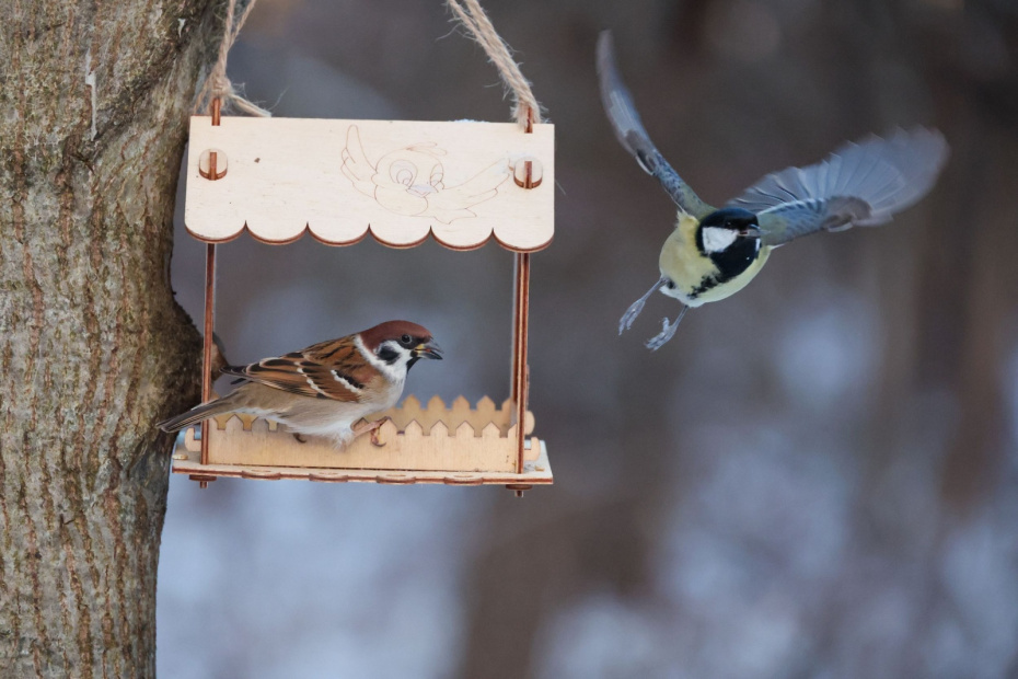    Алексей Белкин/NEWS.ru