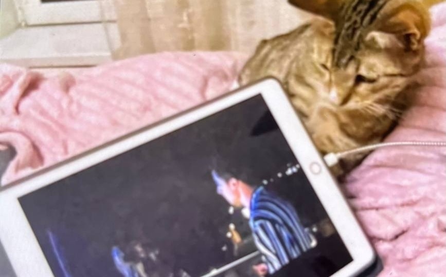 😻Ура! Котёнок Гучи УЖЕ ДОМА!🏡💕