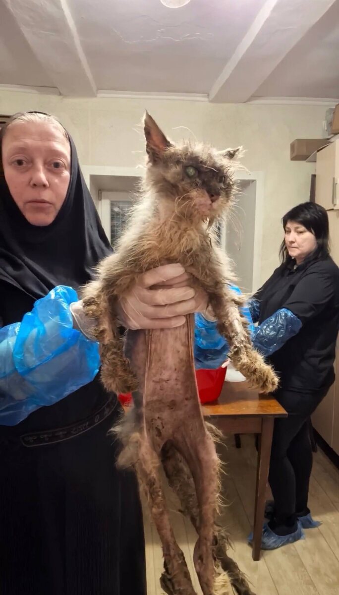 Выглядит неузнаваемо…