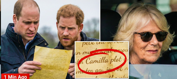 Наконец-то найдено потерянное письмо принцессы Дианы принцу Уильяму