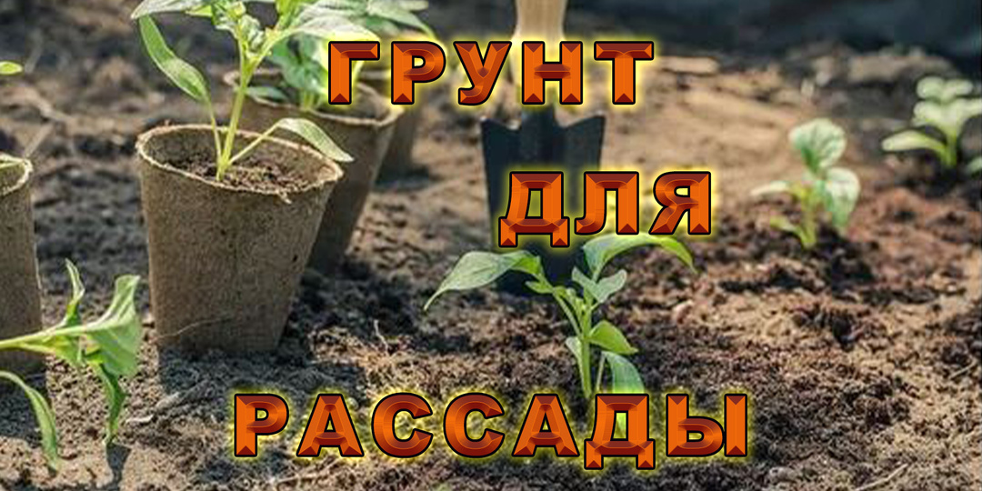 Грунт для рассады. Почвосмесь купить или подготовить самому.