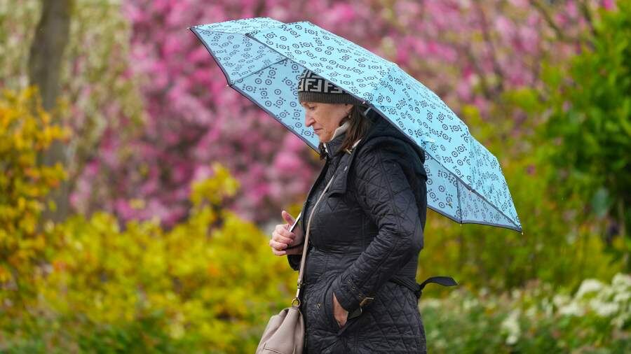    Фото: ИЗВЕСТИЯ/Дмитрий Коротаев