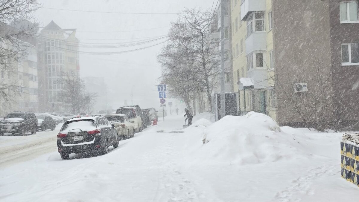    Метель, погода, снег Наталья Краснова