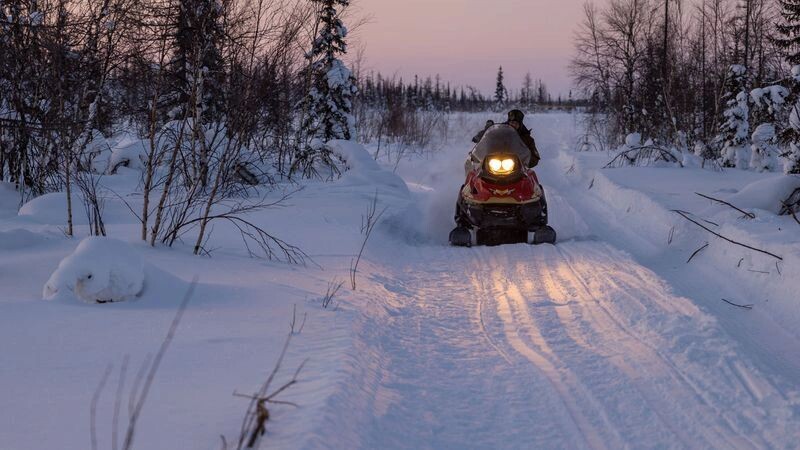    Фото: Федор Воронов/АНО «Ямал-медиа»