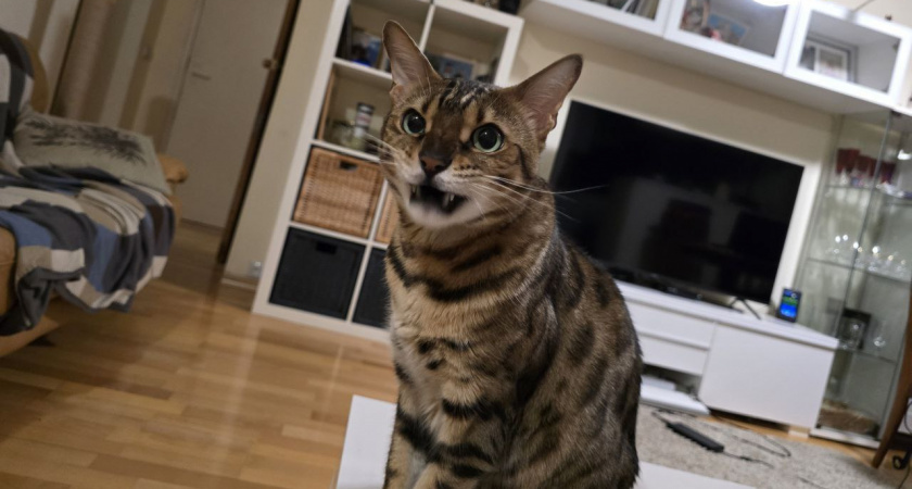    Фото Анастасии Дмитриевой