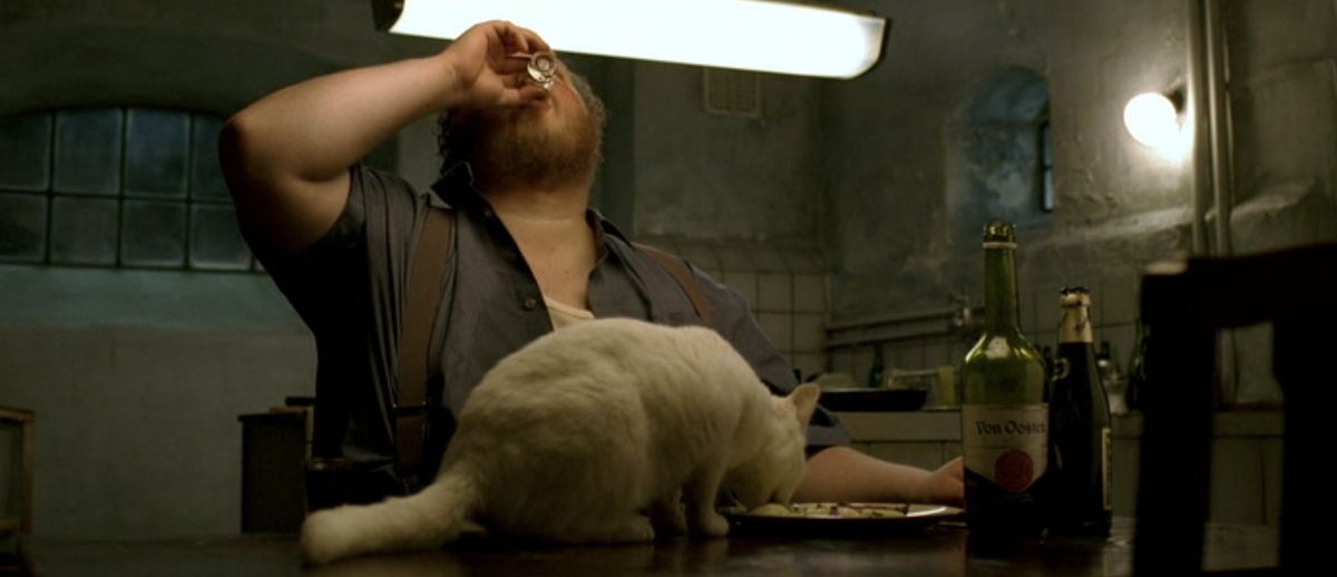 Кадр из датского фильма «Адамовы яблоки» (Adams æbler). В кадре — упитанный датский кот.