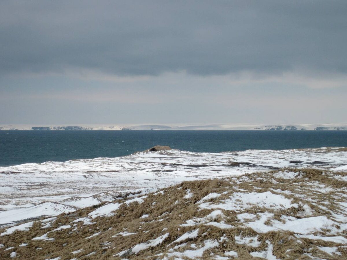 ©️Андрей Габов