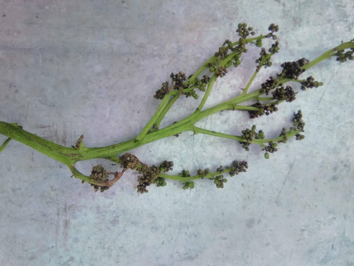 Фото подписчика 