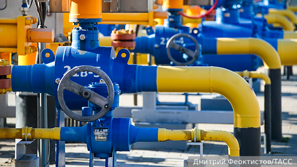     Фото: Дмитрий Феоктистов/ТАСС   
 Текст: Евгений Поздняков