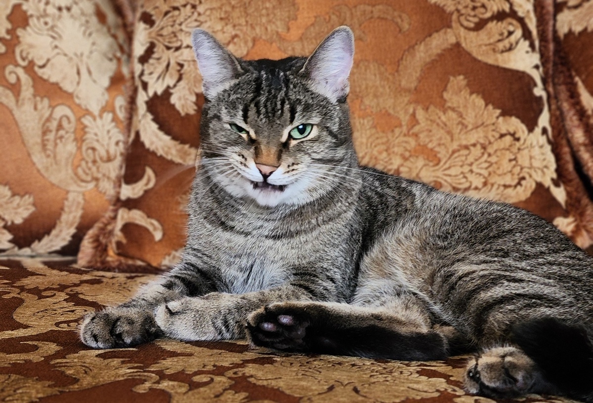 Когда наорал продавец