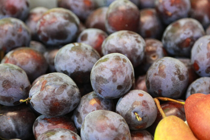    Сливовый апокалипсис для Большой Фармы: как наночастицы из супермаркета стали главным медицинским прорывом 2030-х. novostix