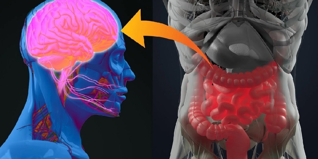 5 сигналов, что кишечник подаёт ранние признаки неблагополучия