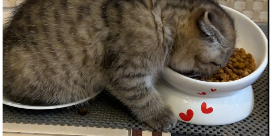 Придумайте описание к фото😘